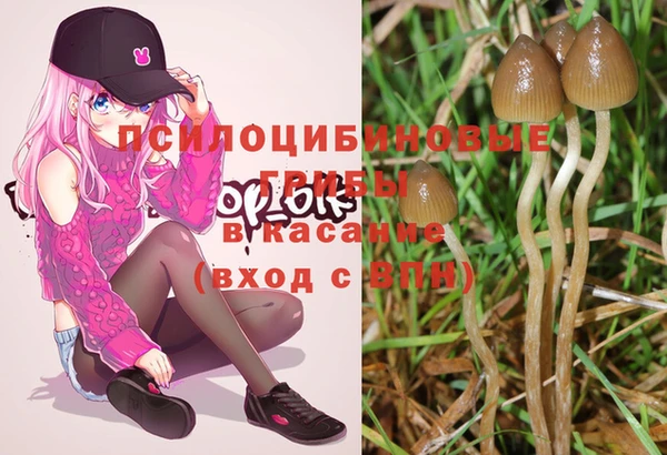 стафф Бугульма