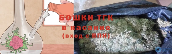 прущий лед Бородино