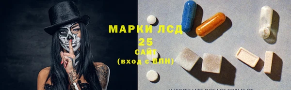 прущий лед Бородино