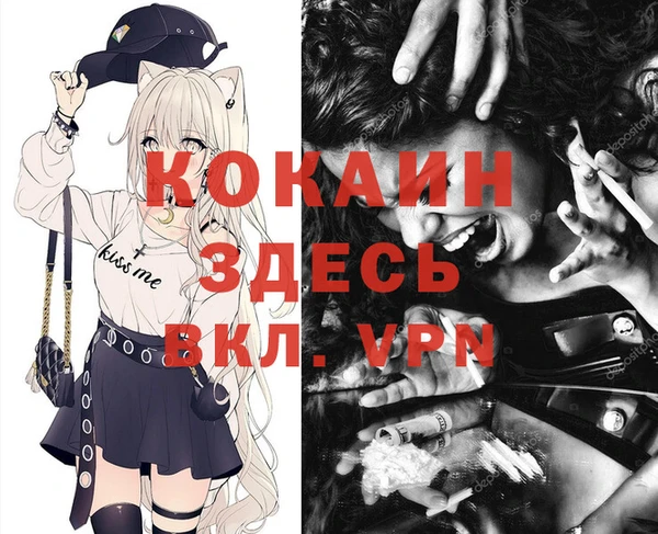 индика Новосибирск