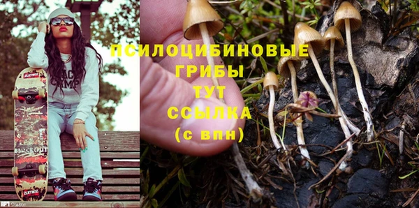 прущий лед Бородино