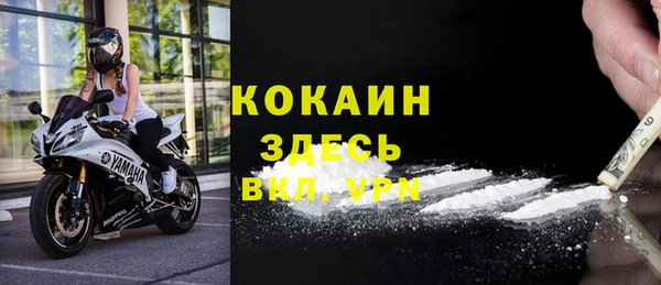 прущий лед Бородино