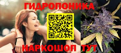 гидра Можайск