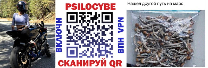 Галлюциногенные грибы Cubensis  Верхний Уфалей 