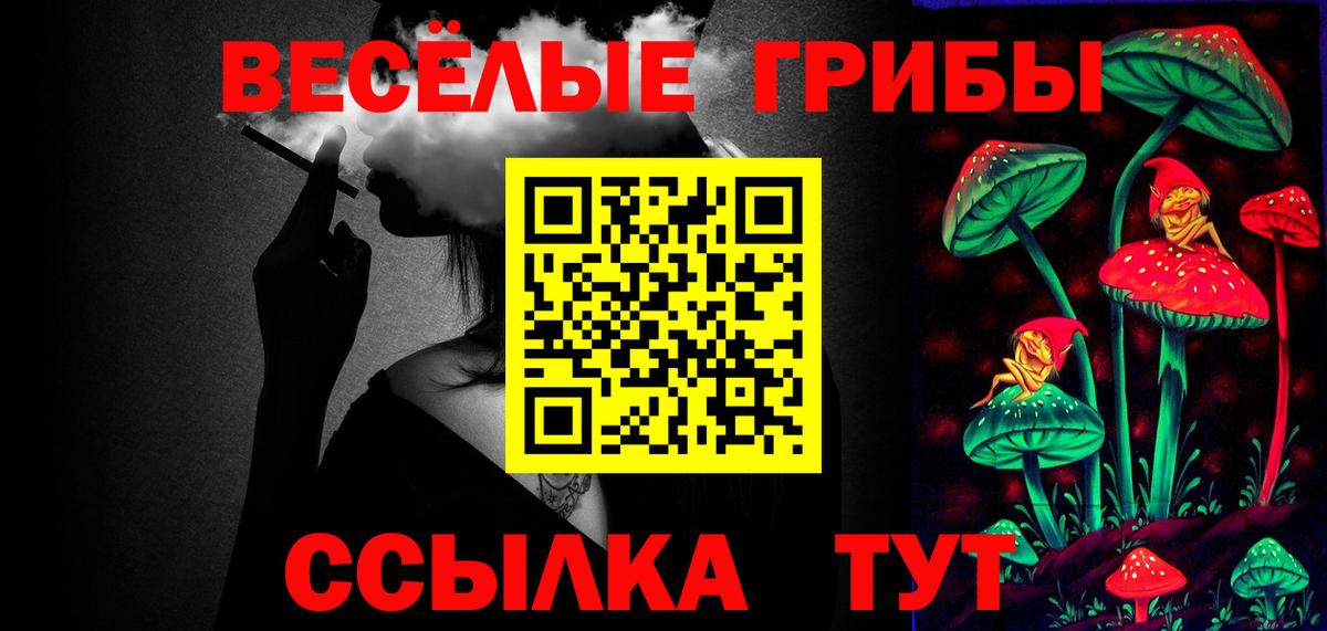 Псилоцибиновые грибы Psilocybe  Вход с VPN  Верхний Уфалей 